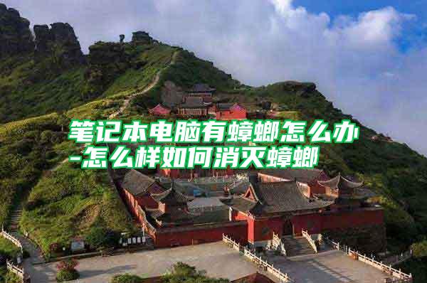 笔记本电脑有蟑螂怎么办-怎么样如何消灭蟑螂