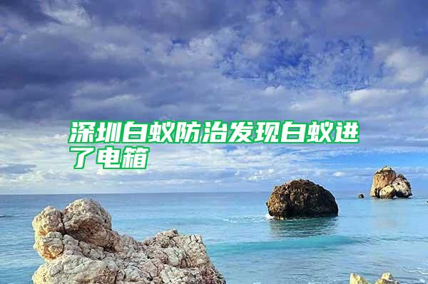 深圳白蚁防治发现白蚁进了电箱