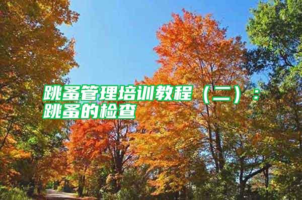 跳蚤管理培训教程（二）：跳蚤的检查