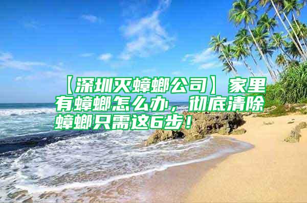 【深圳灭蟑螂公司】家里有蟑螂怎么办，彻底清除蟑螂只需这6步！