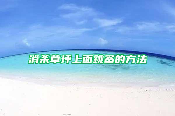 消杀草坪上面跳蚤的方法