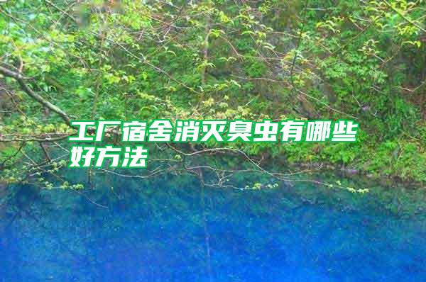 工厂宿舍消灭臭虫有哪些好方法