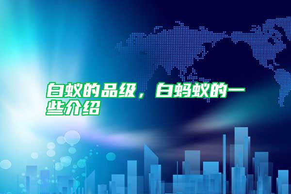 白蚁的品级，白蚂蚁的一些介绍