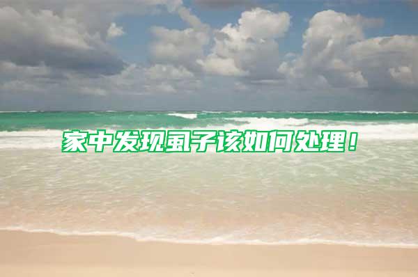 家中发现虱子该如何处理！