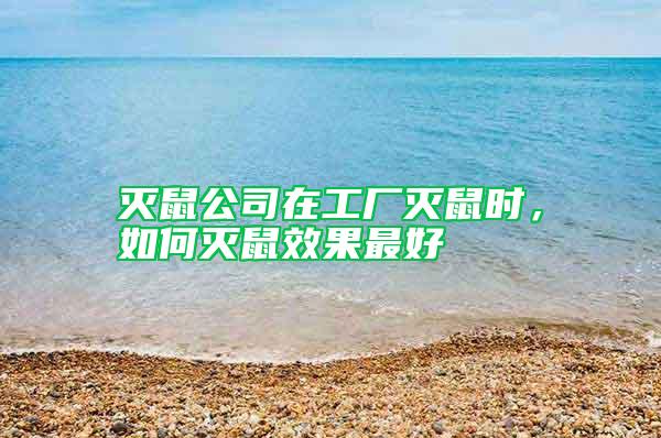 灭鼠公司在工厂灭鼠时，如何灭鼠效果最好