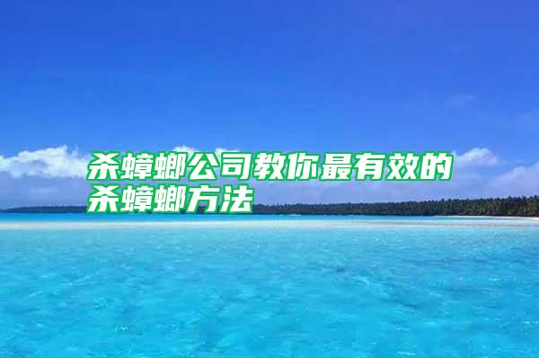 杀蟑螂公司教你最有效的杀蟑螂方法