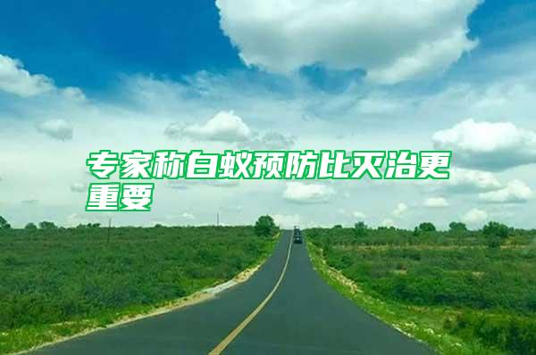 专家称白蚁预防比灭治更重要