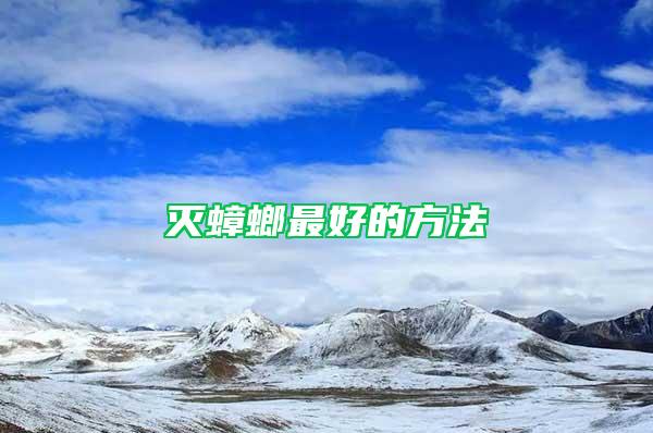 灭蟑螂最好的方法