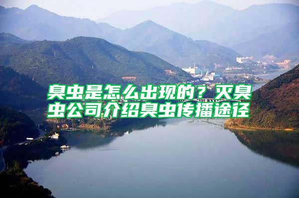 臭虫是怎么出现的？灭臭虫公司介绍臭虫传播途径