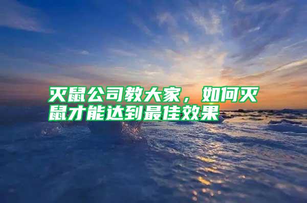 灭鼠公司教大家，如何灭鼠才能达到最佳效果