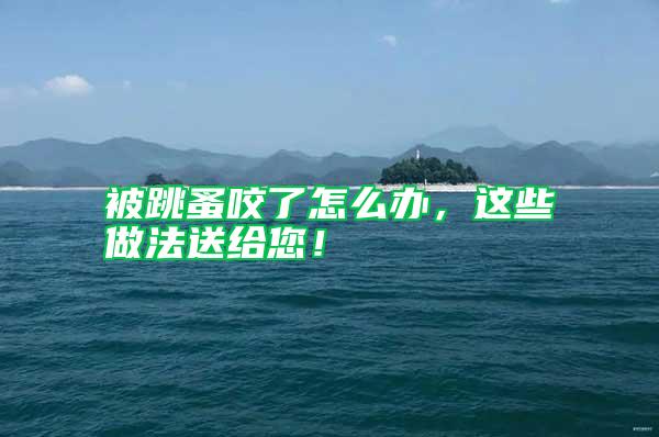 被跳蚤咬了怎么办，这些做法送给您！