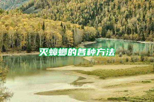 灭蟑螂的各种方法