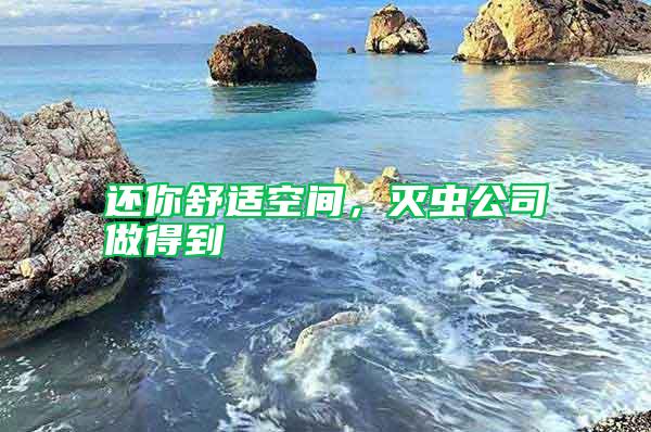 还你舒适空间，灭虫公司做得到