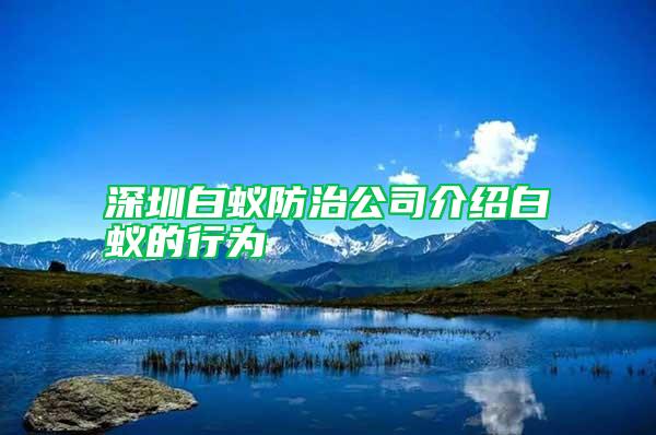 深圳白蚁防治公司介绍白蚁的行为