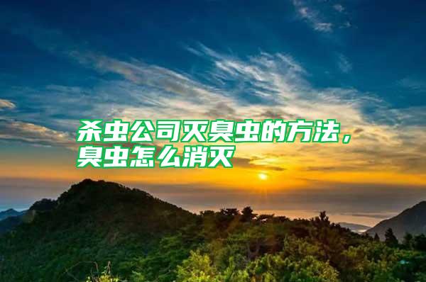 杀虫公司灭臭虫的方法，臭虫怎么消灭