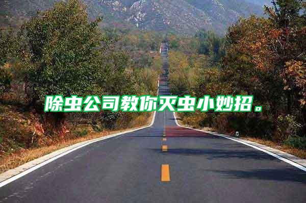 除虫公司教你灭虫小妙招。