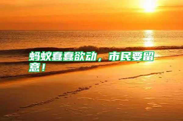 蚂蚁蠢蠢欲动，市民要留意！