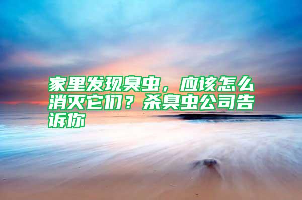 家里发现臭虫,应该怎么消灭它们?杀臭虫公司告诉你