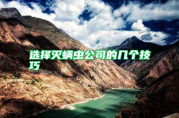 选择灭螨虫公司的几个技巧