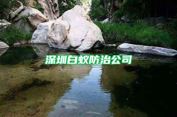 深圳白蚁防治公司