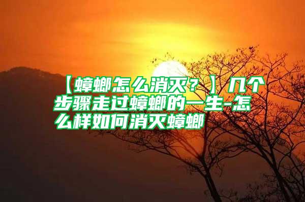 【蟑螂怎么消灭？】几个步骤走过蟑螂的一生-怎么样如何消灭蟑螂