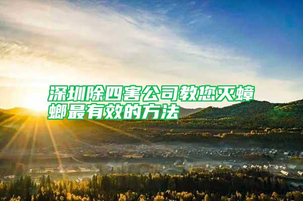 深圳除四害公司教您灭蟑螂最有效的方法