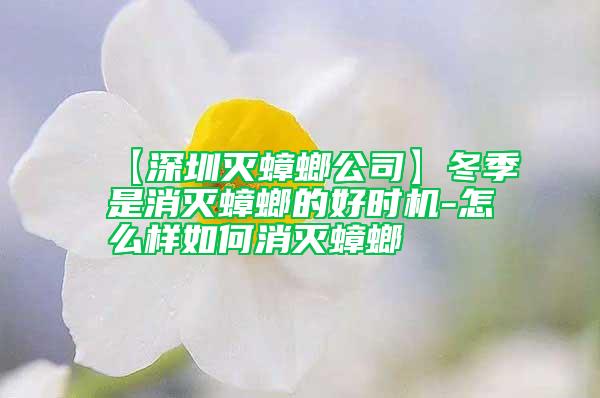 【深圳灭蟑螂公司】冬季是消灭蟑螂的好时机-怎么样如何消灭蟑螂