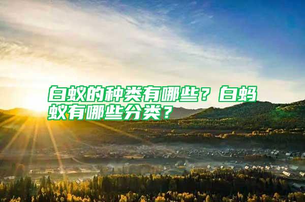 白蚁的种类有哪些？白蚂蚁有哪些分类？