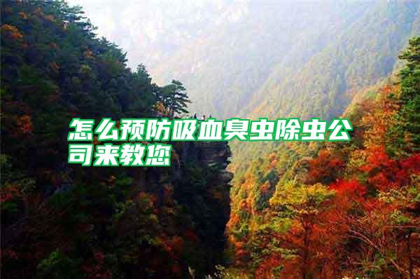 怎么预防吸血臭虫除虫公司来教您