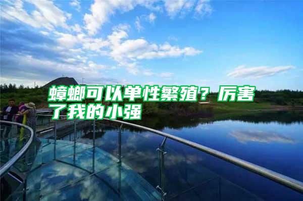 蟑螂可以单性繁殖？厉害了我的小强