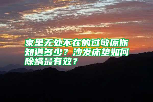 家里无处不在的过敏原你知道多少？沙发床垫如何除螨最有效？