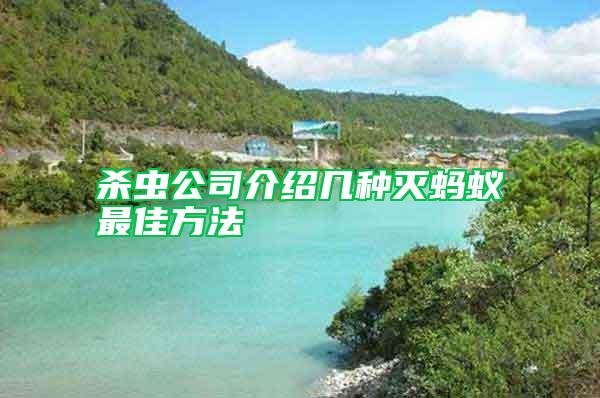 杀虫公司介绍几种灭蚂蚁最佳方法