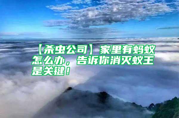 【杀虫公司】家里有蚂蚁怎么办，告诉你消灭蚁王是关键！