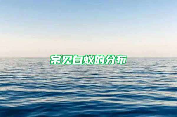常见白蚁的分布