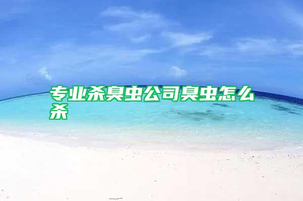 专业杀臭虫公司臭虫怎么杀