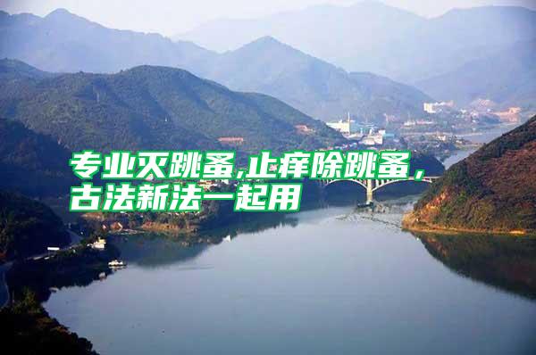 专业灭跳蚤,止痒除跳蚤， 古法新法一起用