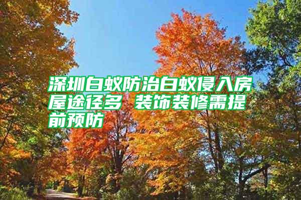 深圳白蚁防治白蚁侵入房屋途径多 装饰装修需提前预防