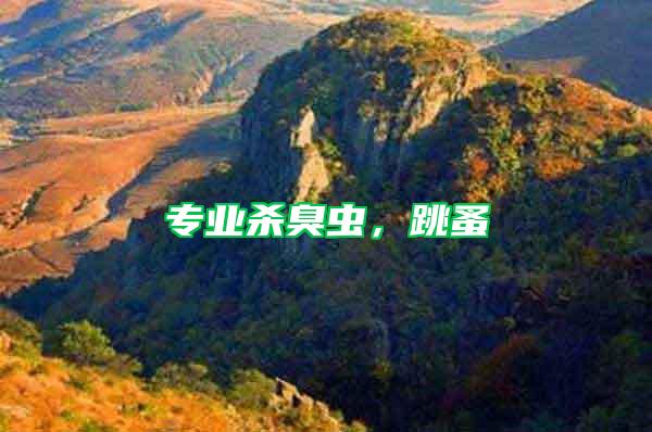 专业杀臭虫，跳蚤