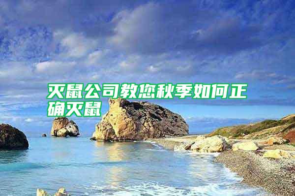 灭鼠公司教您秋季如何正确灭鼠
