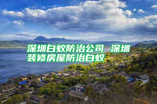 深圳白蚁防治公司 深圳装修房屋防治白蚁