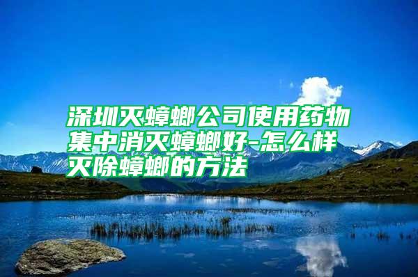 深圳灭蟑螂公司使用药物集中消灭蟑螂好-怎么样灭除蟑螂的方法