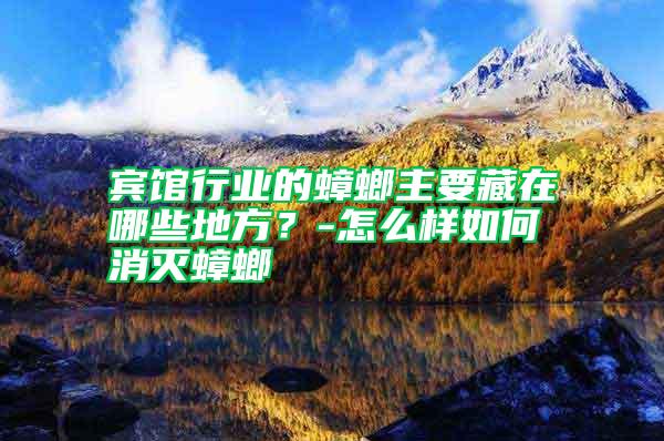 宾馆行业的蟑螂主要藏在哪些地方?-怎么样如何消灭蟑螂