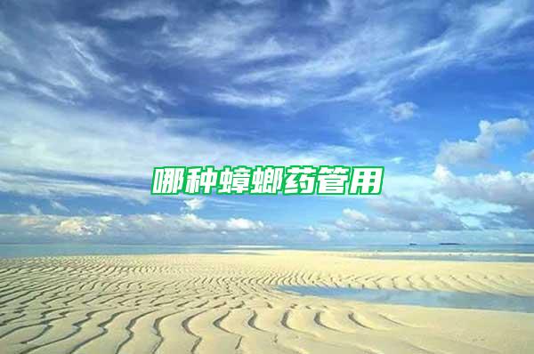 哪种蟑螂药管用