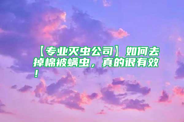 【专业灭虫公司】如何去掉棉被螨虫，真的很有效！