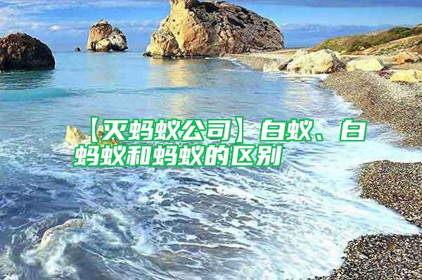 【灭蚂蚁公司】白蚁、白蚂蚁和蚂蚁的区别
