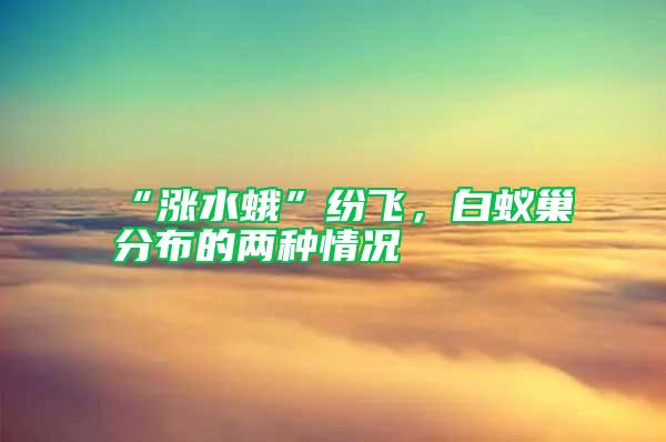 “涨水蛾”纷飞，白蚁巢分布的两种情况