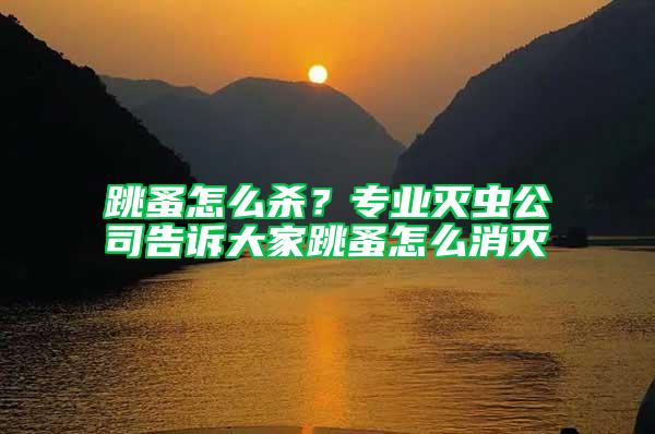 跳蚤怎么杀？专业灭虫公司告诉大家跳蚤怎么消灭
