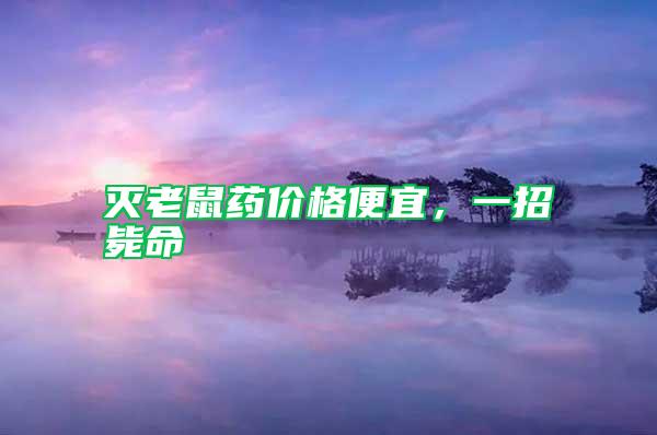 灭老鼠药价格便宜，一招毙命