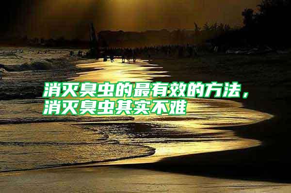 消灭臭虫的最有效的方法，消灭臭虫其实不难