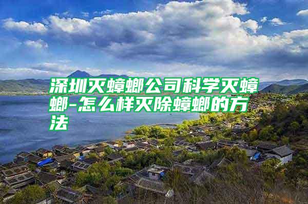 深圳灭蟑螂公司科学灭蟑螂-怎么样灭除蟑螂的方法
